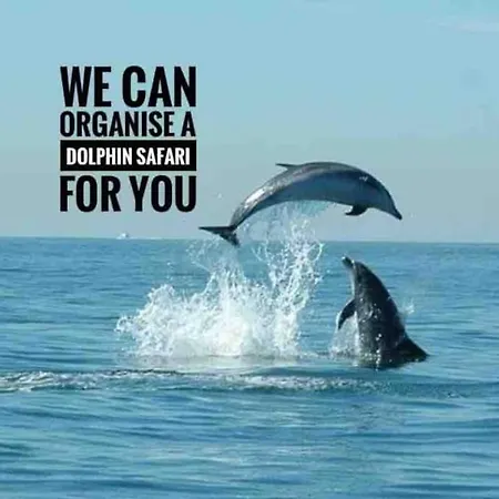 Appartamento Sea View W Pool, Terrace & Parking Cascais